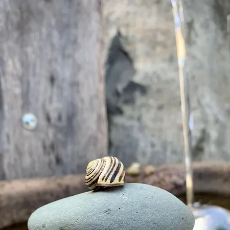 Kleine Auszeit Eifel * Udler