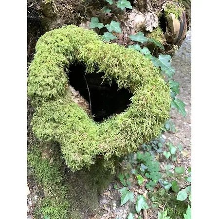 Kleine Auszeit Eifel Appartamento