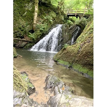 Апартаменты Kleine Auszeit Eifel