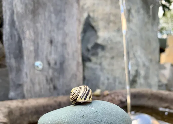 Kleine Auszeit Eifel * Udler