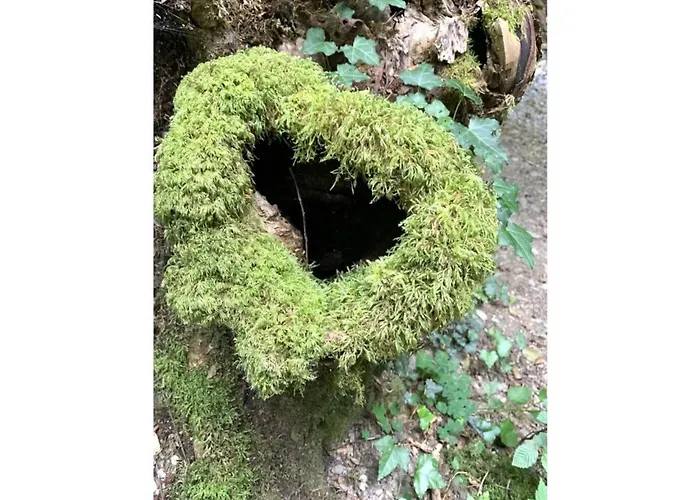 Kleine Auszeit Eifel Apartment