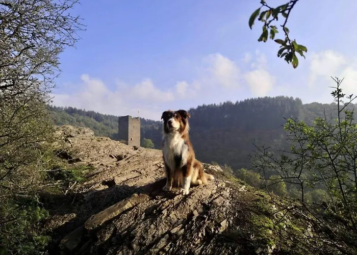 Kleine Auszeit Eifel