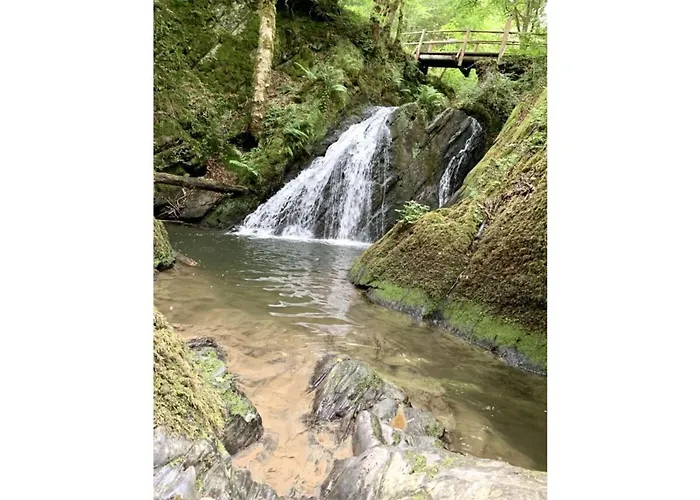 Apartment Kleine Auszeit Eifel